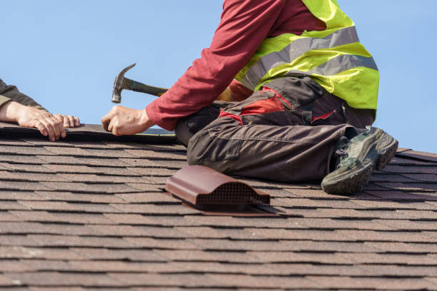 Best Residential Roofing Contractor  in Laguna Vista, TX