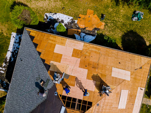 Best Local Roofing Companies  in Laguna Vista, TX