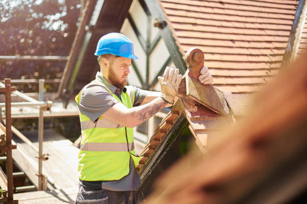 Best Metal Roofing Contractor  in Laguna Vista, TX